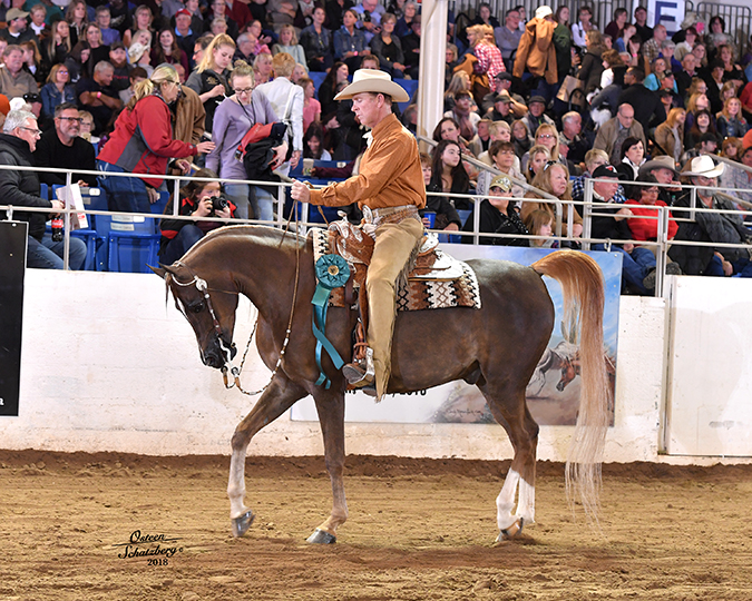 Culbreth Equine
